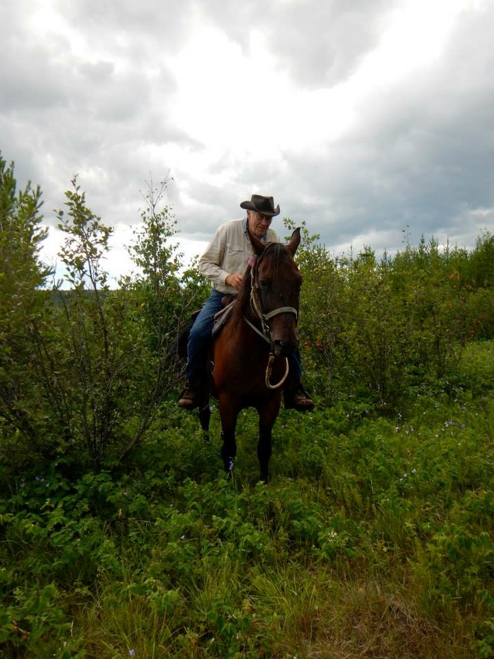 Photo 11 of Harold Clifford McLean