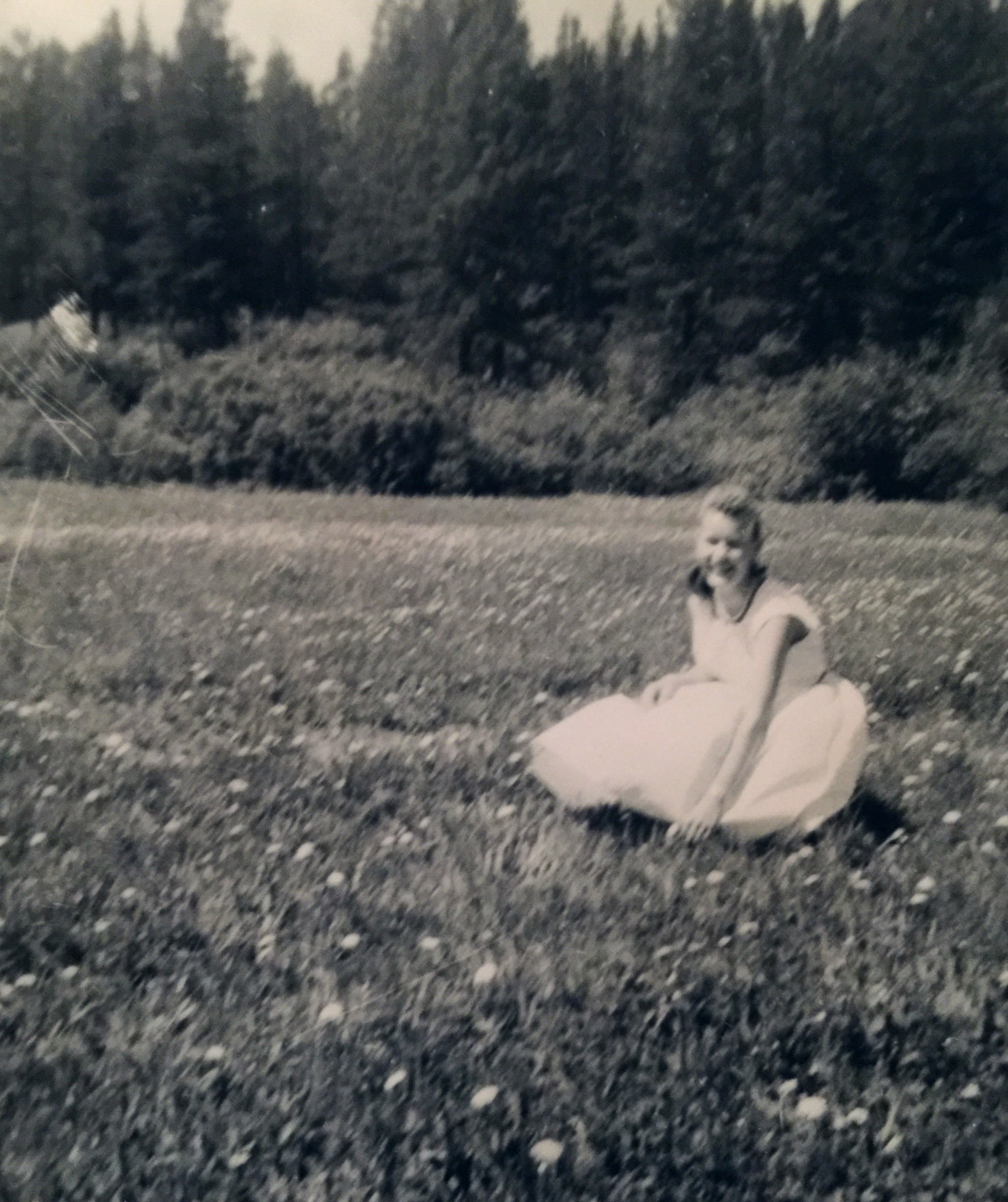 Photo 2 of Susan Smode